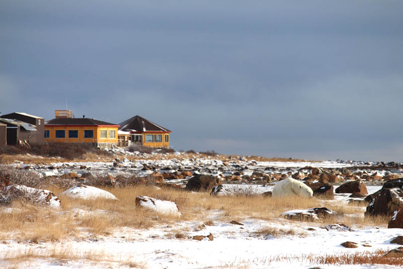 Seal River Heritage Lodge_6962_Credit Travel Manitoba seal-river-heritage-lodge