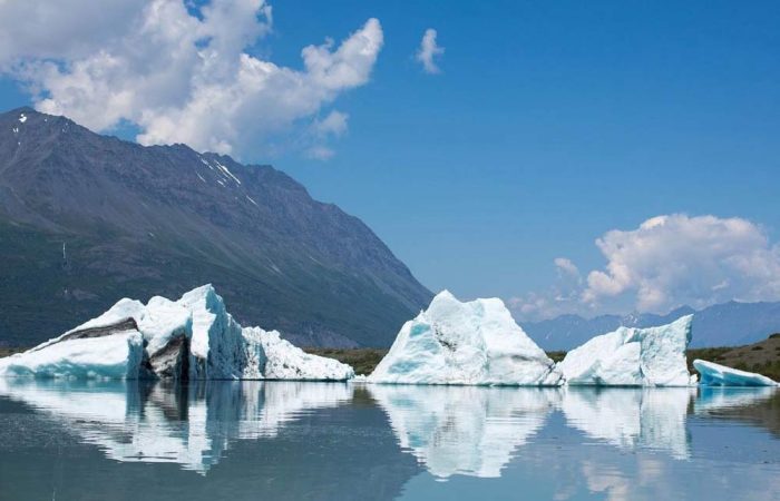seward-bear-glacier-tour