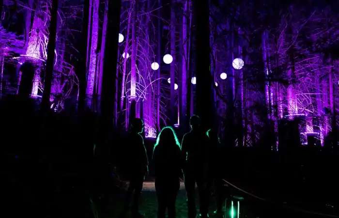 vallea-lumina-whistler