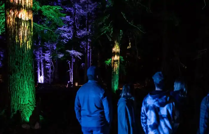 vallea-lumina-whistler