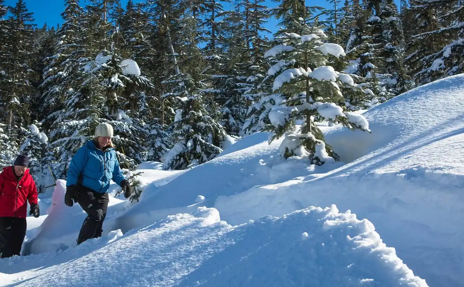 whistler-snowshoe-adventure