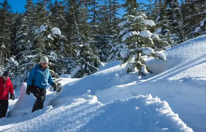 whistler-snowshoe-adventure