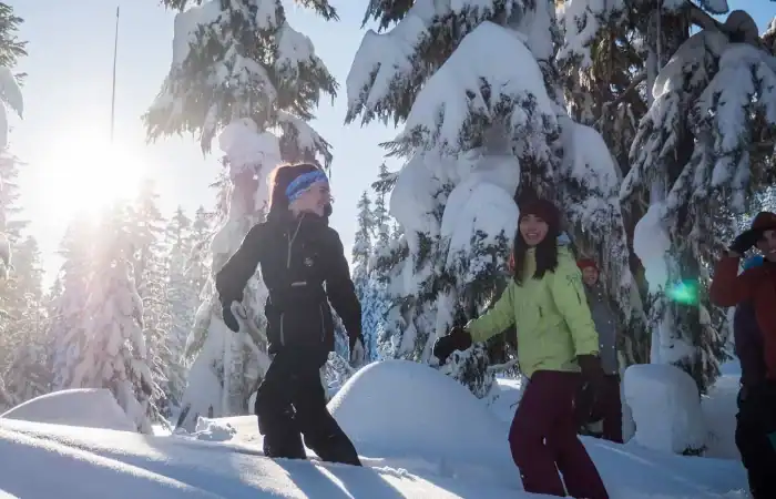 whistler-snowshoe-adventure