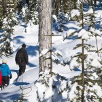 whistler-snowshoe-adventure