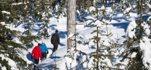 whistler-snowshoe-adventure