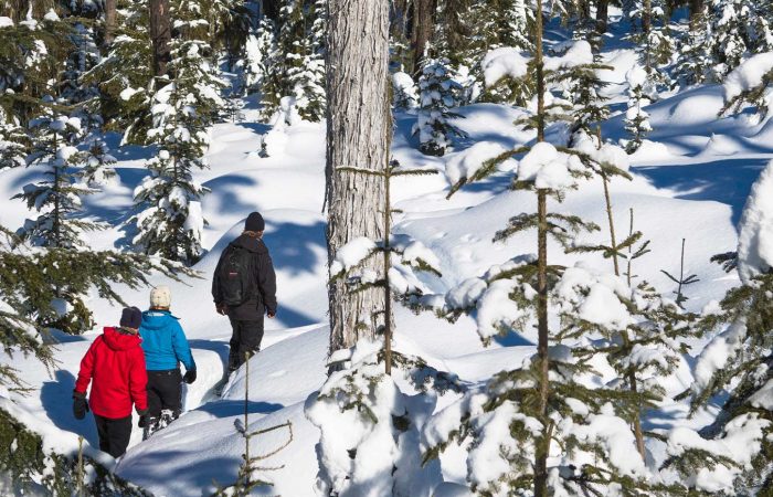 whistler-snowshoe-adventure