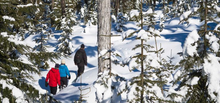 whistler-snowshoe-adventure