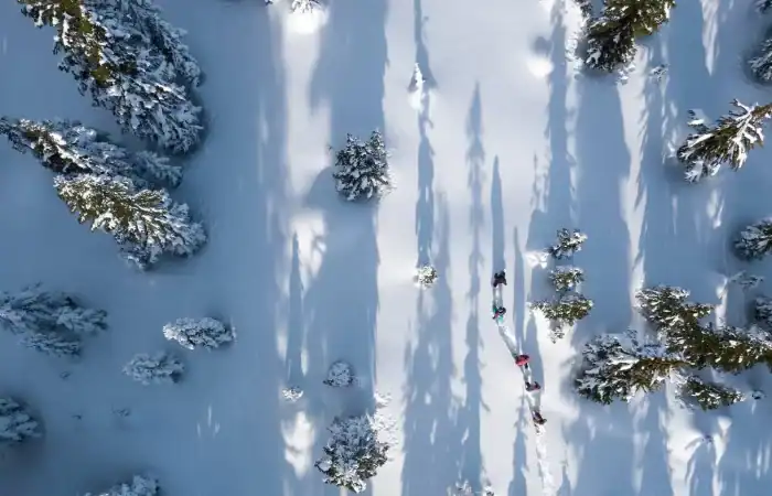 whistler-snowshoe-adventure