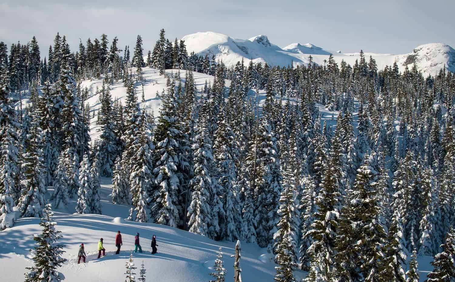 whistler-snowshoe-adventure