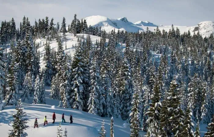 whistler-snowshoe-adventure