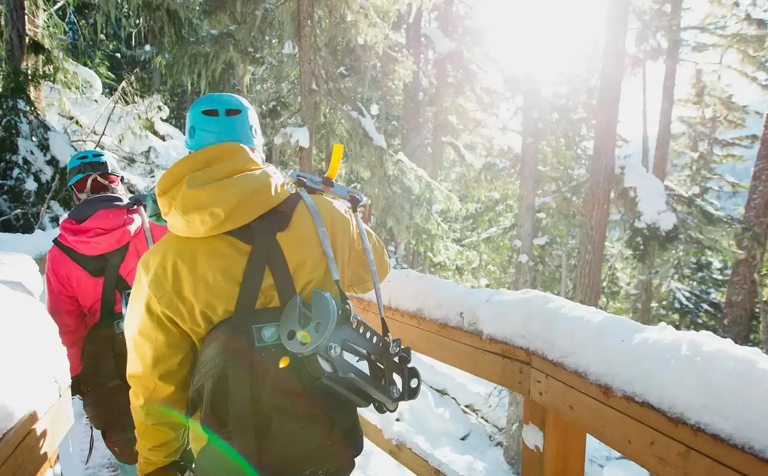 whistler-superfly-zipline