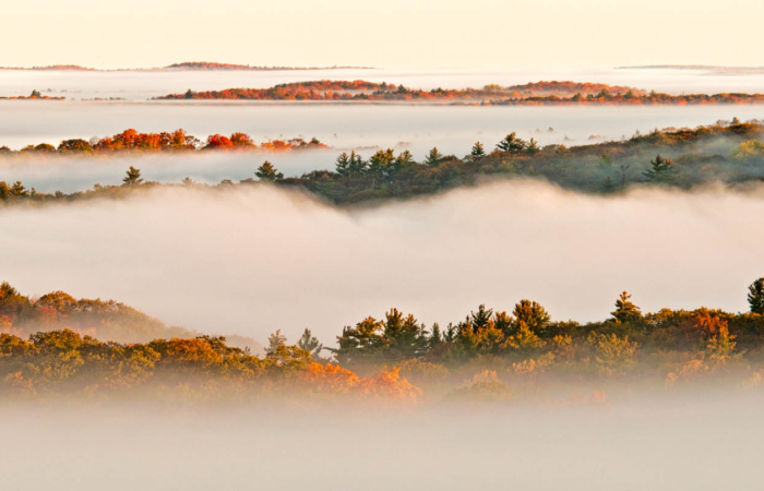 Algonquin Provincial Park