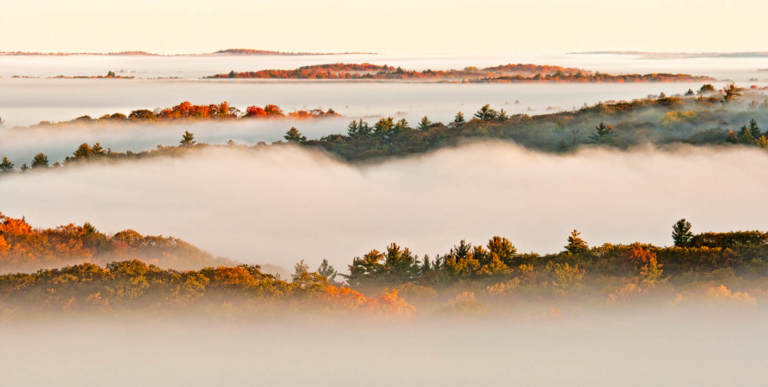 Algonquin Provincial Park