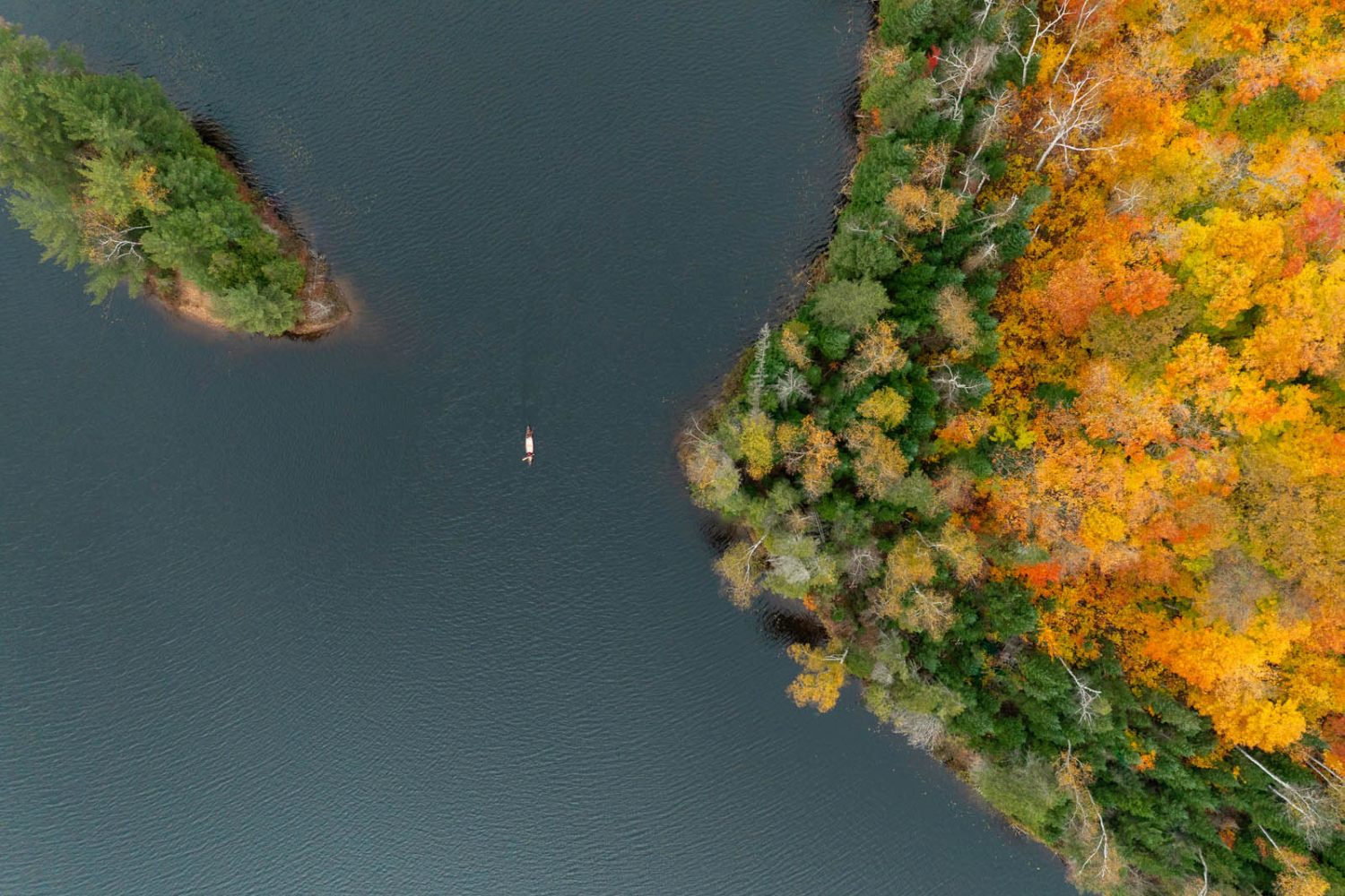 Algonquin-Provincial-Park