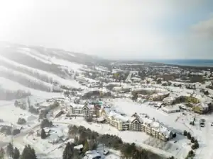 BlueMountain